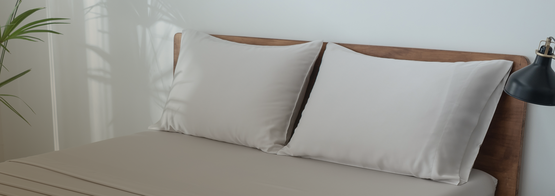 Airloom Collection